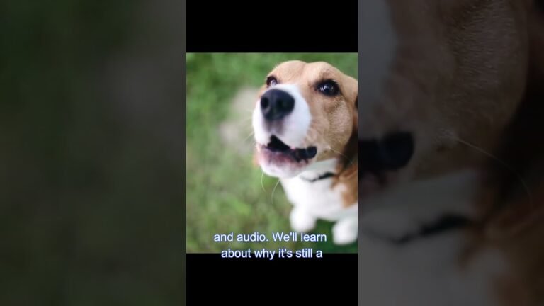 The CRAZIEST AI News This Week  #aitips #automation #ai #aittols #chatgpt #hack #passwordhack