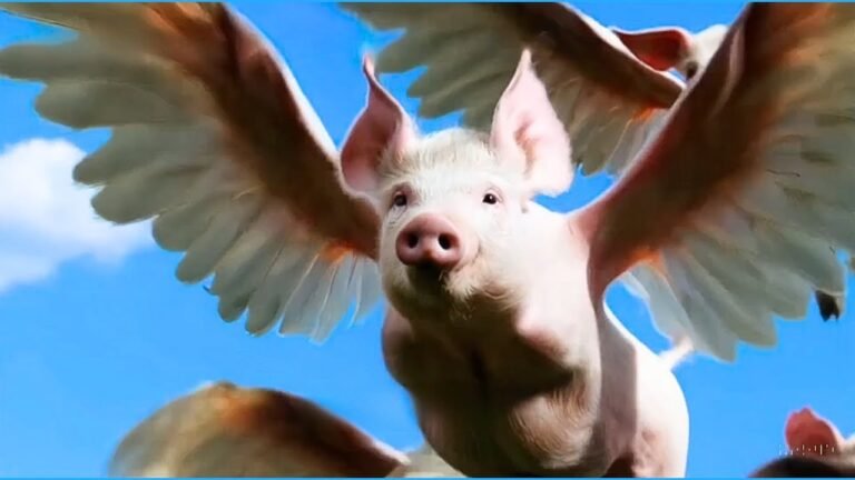 FULL Short Films Made by SORA First Users: RIP Hollywood