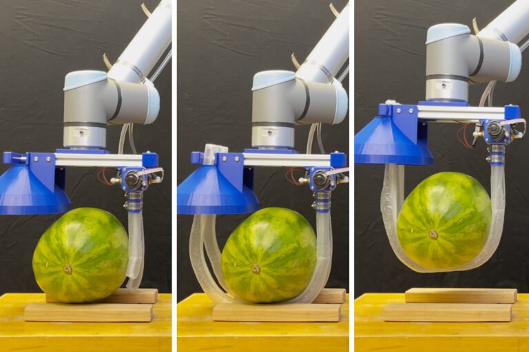 Vine-inspired robotic gripper gently lifts heavy and fragile objects | MIT News