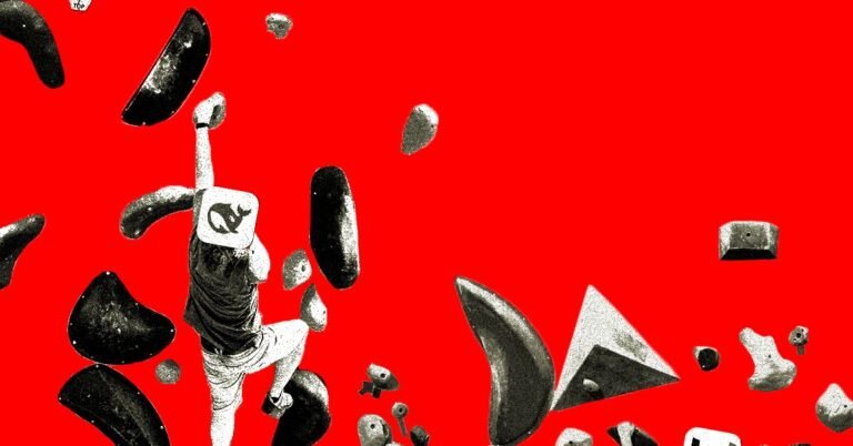 ByteDance and DeepSeek Are Placing Very Different AI Bets